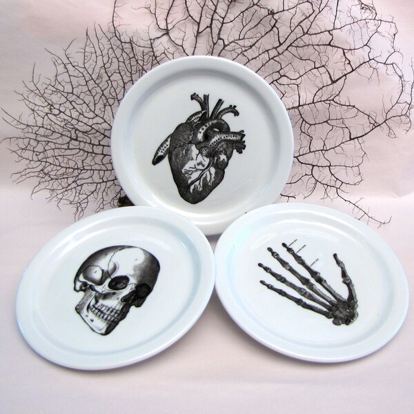 3 Anatomical Dishes Plates Skull, Skeleton Hand, Heart - Chase and Scout Austin Texas