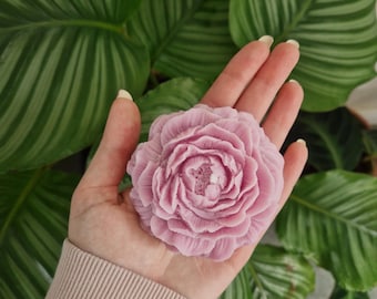 Rosa Pfingstrose Duftkerze Einzigartige Stumpenkerze Duftkerze Geburtstagsgeschenk für Sie Pfingstrose und Blush Wildleder Duftkerze