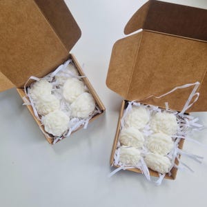 May include: Two brown cardboard boxes filled with white wax melts shaped like flowers. The wax melts are arranged in a grid pattern inside the boxes.