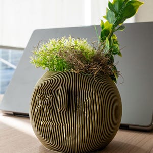 Flowerpot with face