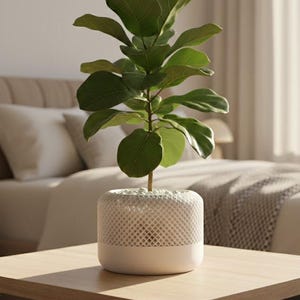 May include: A set of three ceramic mugs with a speckled, matte finish. The mugs are in shades of cream, light gray, and dark gray. Each mug has a simple, minimalist design, perfect for coffee or tea.