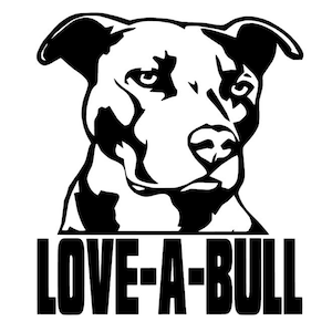 J&#39;aime un taureau, Sensibilisation au sauvetage des pitbulls, Adorables pitbulls, Pibbles, Évitez les achats, Sauvez les pitbulls, Pibble Nation, Amour de race Bully