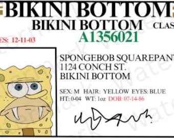 Parody / Yellow Sponge / Unofficial Fan Art / Driver License / 7x5in