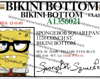 Parody / Yellow Sponge / Unofficial Fan Art / Driver License / 7x5in