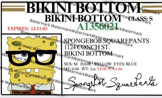 Parody / Yellow Sponge / Unofficial Fan Art / Driver License / 7x5in