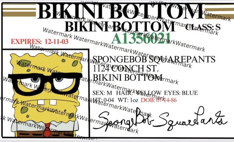 May include: A yellow cartoon character with a red tie and black-rimmed glasses. The character is wearing a name tag that reads "Spongebob Squarepants" and has an address of "1124 Conch St. Bikini Bottom". The name tag also includes the character's sex, hair color, eye color, height, weight, and date of birth.
