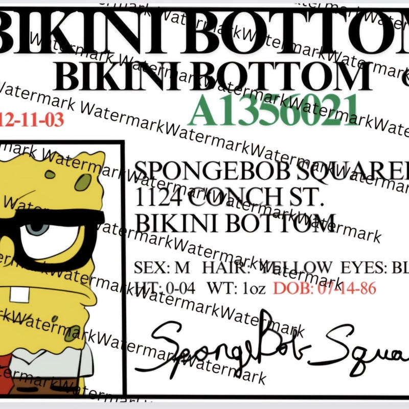 Spongebobs Drivers License Etsy