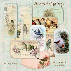 Étiquettes d'oiseaux minables, étiquettes de journal indésirables minables, grandes cartes de journal indésirable, grandes étiquettes numériques, étiquettes cadeaux minables