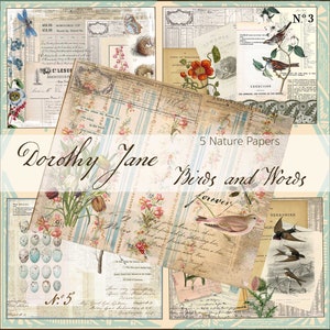 Puede incluir: Una hoja de collage digital con una estética vintage que presenta pájaros, flores y texto. La hoja incluye una variedad de patrones y texturas, incluyendo estampados florales, patrones a rayas y texto escrito a mano. La hoja se titula "Dorothy Jane Birds and Words Forever" e incluye los números "N.º 3" y "N.º 5".