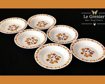Set de 10 assiettes plates Arcopal décor floral iris vintage