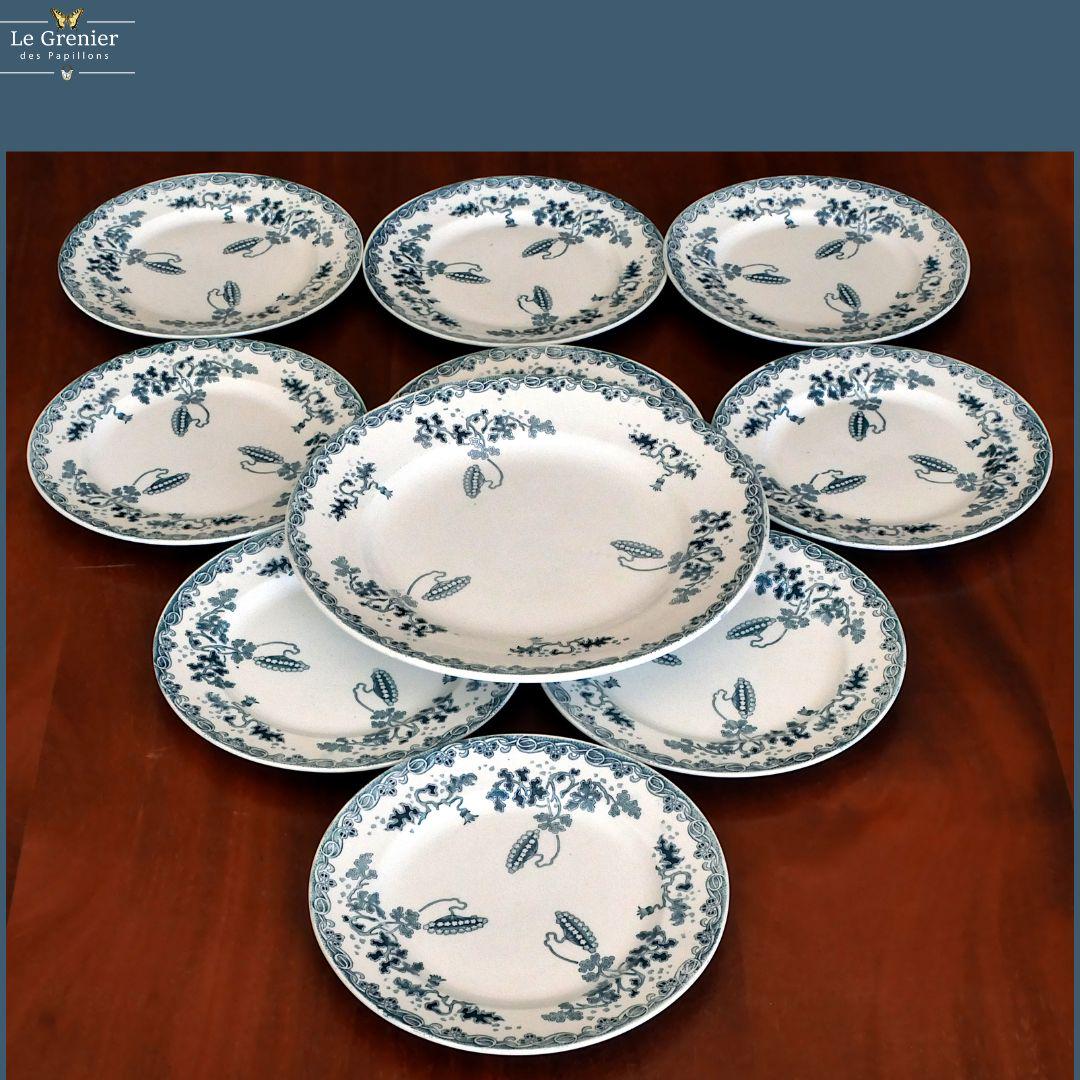 Assiette Ancienne St Amand Et Hamage À VENDRE