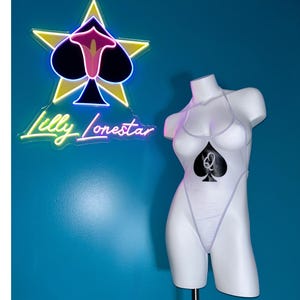 QOS Mesh Bodysuit|QOS Snowbunny BBC Hotwife Apparel
