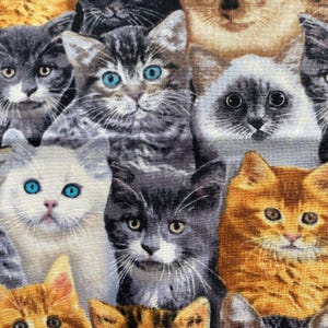 PACKED CATS Mixed Breeds Fabric - Timeless Treasures - Cotton Quilt Fabric by the Yard or Select Length - CAT-CD8417 Multi Kittens Cat Kitty