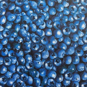 Packed BLUEBERRY BLUEBERRIES Blue Fabric - Benartex - 100% Cotton Fabric by the Yard or Select Length - Blueberry Hill 12636-55 Summer Fruit