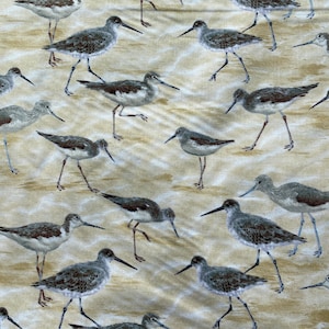 SANDPIPERS on SAND Fabric - Timeless Treasures - Cotton Quilt Fabric by the Yard or Select Length - BEACH-C8393 Natural Ocean Seaside Sandy
