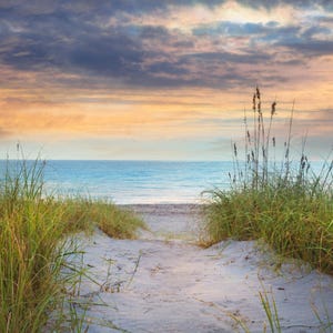 Może przedstawiać: Piaskowa ścieżka prowadzi przez wysokie zielone trawy do błękitnego oceanu z zachmurzonym niebem w tle.