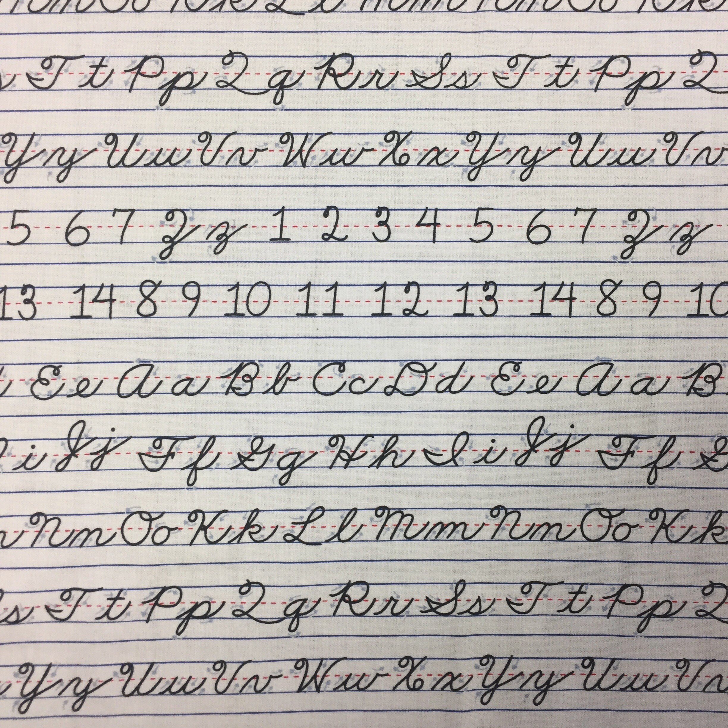 Rare PALMER METHOD Cursive Writing Script Fabric, Instruction Arrows