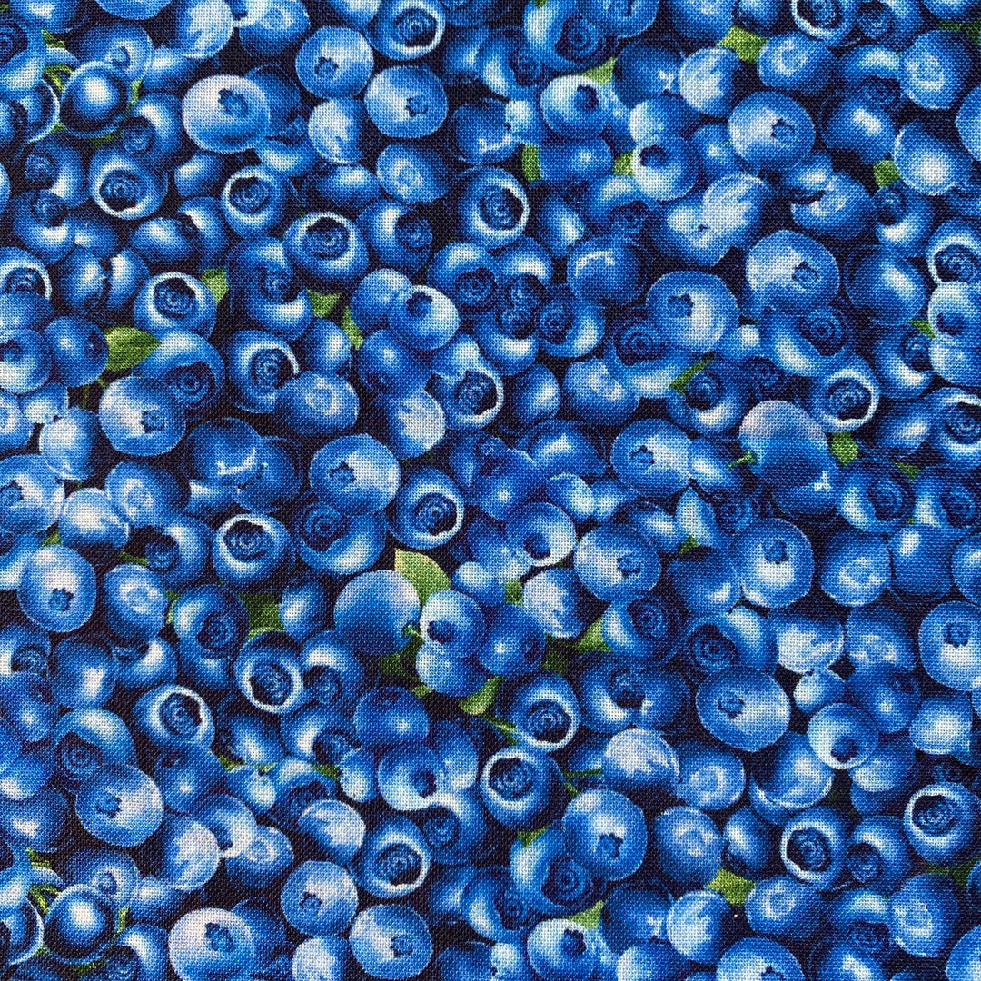 Packed BLUEBERRY BLUEBERRIES Fabric Timeless Treasures 100 Cotton
