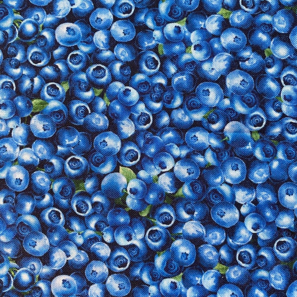 Packed BLUEBERRY BLUEBERRIES Fabric - Timeless Treasures - 100% Cotton Fabric by the Yard or Select Length - FRUIT-CD1748 Blue Summer Fruit