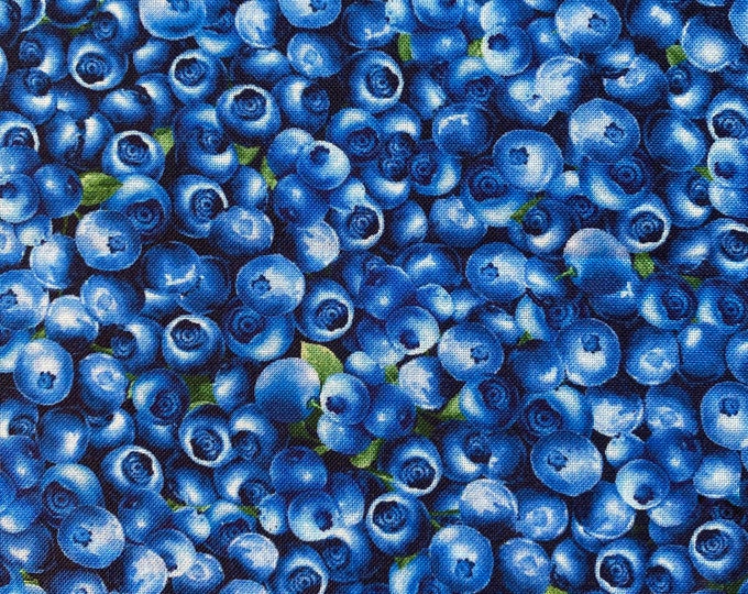 Packed BLUEBERRY BLUEBERRIES Fabric - Timeless Treasures - 100% Cotton Fabric by the Yard or Select Length - FRUIT-CD1748 Blue Summer Fruit