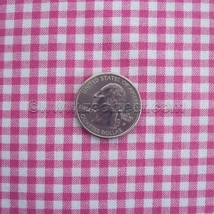 May include: Pink and white gingham fabric with a US quarter dollar coin on top. The coin has the words "United States of America" and "Liberty" on it.