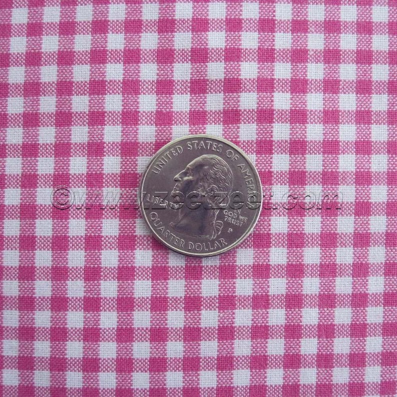 May include: Pink and white gingham fabric with a US quarter dollar coin on top. The coin has the words "United States of America" and "Liberty" on it.