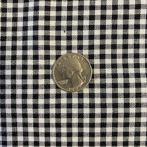 May include: A black and white gingham fabric with a US quarter on top. The quarter is from 1977 and has the words "Liberty" and "In God We Trust" on it.