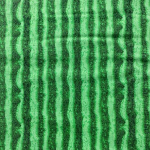 Watermelon Skin Rind Fabric From Farm Stand Collection by Timeless ...
