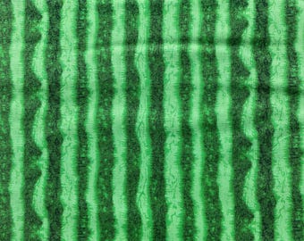 Timeless Treasures WATERMELON Rind Green Texture Stripe Cotton Fruit Fabric by the Yard or Select Length FRUIT-CD1138