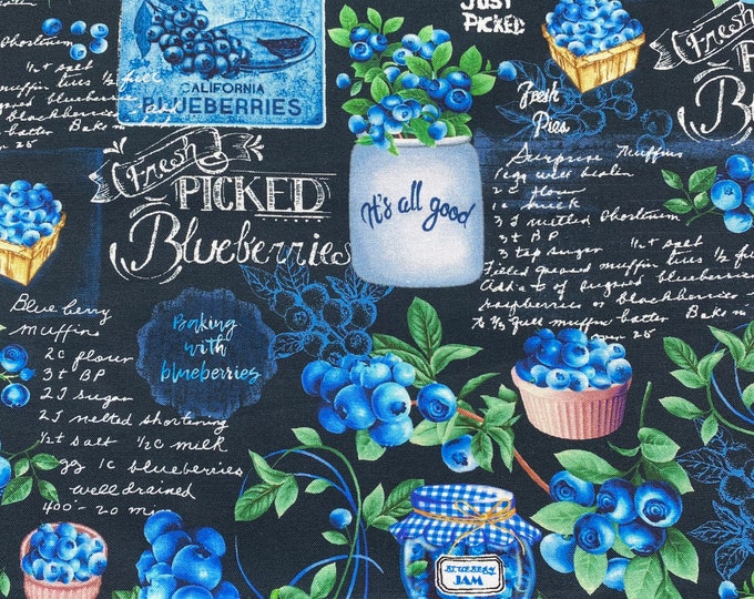 BLUEBERRY CHALKBOARD Fabric in Navy - Timeless Treasures Quilt Fabric by the Yard or Cut