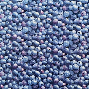 BERRY Good BLUEBERRY Fabric - Elizabeth&#39;s Studio - Cotton Quilt Fabric by the Yard or Length - 509 Blue - Blueberries Fruit
