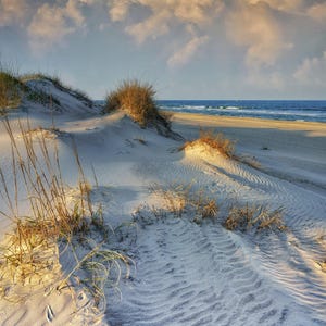 The Beach Sand Dunes of OBX Panel (35.5" x 45") - 100% Cotton Fabric Panel - Outer Banks Ocean Coastal - GL-0061-3C-1 Multi