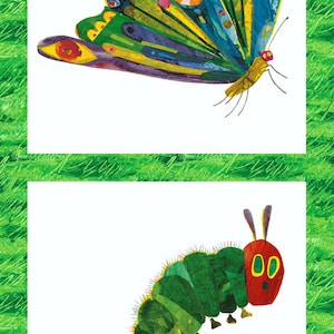 The Very Hungry Caterpillar Butterfly METAMORPHOSIS PANEL Color - 100% Cotton Quilt Fabric - Andover Fabrics by Eric Carle - A-5280-M Multi