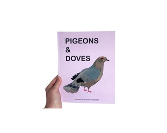 100 Pigeons + Doves, an illustrated zine