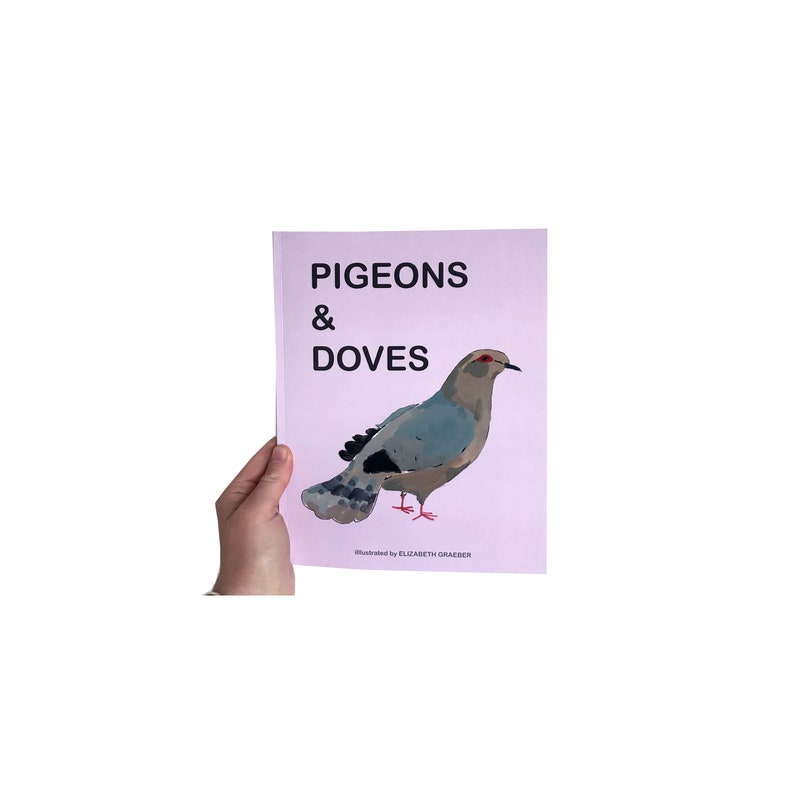 100 Pigeons Doves, an illustrated zine image 1