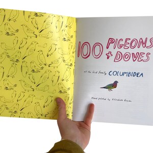 100 Pigeons Doves, an illustrated zine image 3