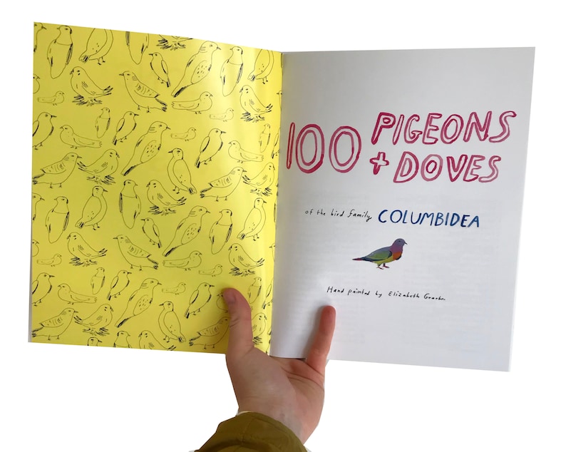 100 Pigeons Doves, an illustrated zine image 3