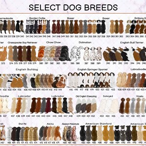 May include: A reference chart titled SELECT DOG BREEDS displaying rows of illustrated dog backs in various colours and patterns. Each dog is numbered from 332 to 496, categorised by breed names including Bernedoodle, Boxer, Dalmatian, and Labrador.