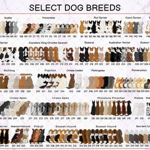 May include: A digital chart titled SELECT DOG BREEDS displaying rows of illustrated dog backs in various colours and patterns. Each dog is numbered and categorised by breed, including Westie, Scottie, Havanese, Rat Terrier, Cairn Terrier, Bully, Fox Terrier, Cavalier King Charles Spaniel, Basenji, Australian Terrier, Boston Terrier, Bulldog, Papillon, Chinese Crested, Pekingese, Pomeranian, Lhasa Apso, Miniature Pinscher, Maltese, Shetland Sheepdog, Airedale Terrier, American Foxhound, Pitbull, Basset Hound, and Bearded Collie.