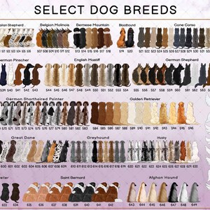 May include: A digital chart titled SELECT DOG BREEDS displaying rows of illustrated dog silhouettes viewed from behind, categorised by breed names including Australian Shepherd, Doberman, and Husky, with numbered labels and angel wing icons.