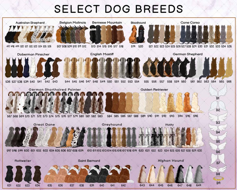 May include: A digital chart titled SELECT DOG BREEDS displaying rows of illustrated dog silhouettes viewed from behind, categorised by breed names including Australian Shepherd, Doberman, and Husky, with numbered labels and angel wing icons.