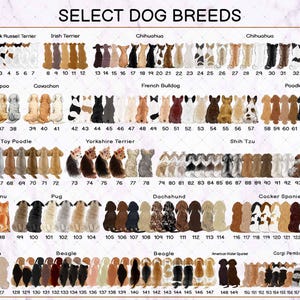 May include: A chart titled SELECT DOG BREEDS displaying 160 numbered illustrations of various dog breeds viewed from behind. The dogs are arranged in rows, showcasing diverse coat colours, patterns, and textures for breeds like Poodle, Pug, and Beagle.