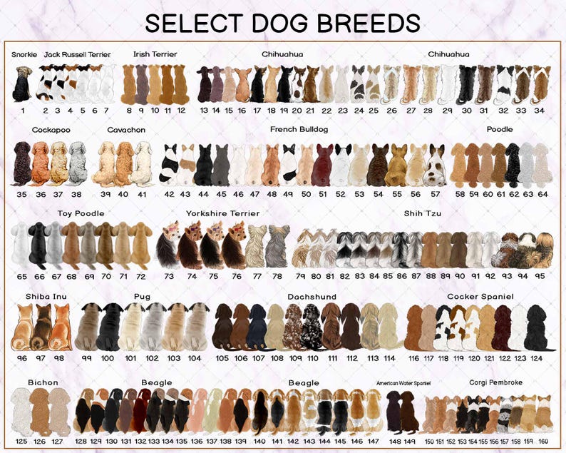 May include: A chart titled SELECT DOG BREEDS displaying 160 numbered illustrations of various dog breeds viewed from behind. The dogs are arranged in rows, showcasing diverse coat colours, patterns, and textures for breeds like Poodle, Pug, and Beagle.