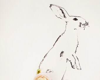 rabbit no. 2