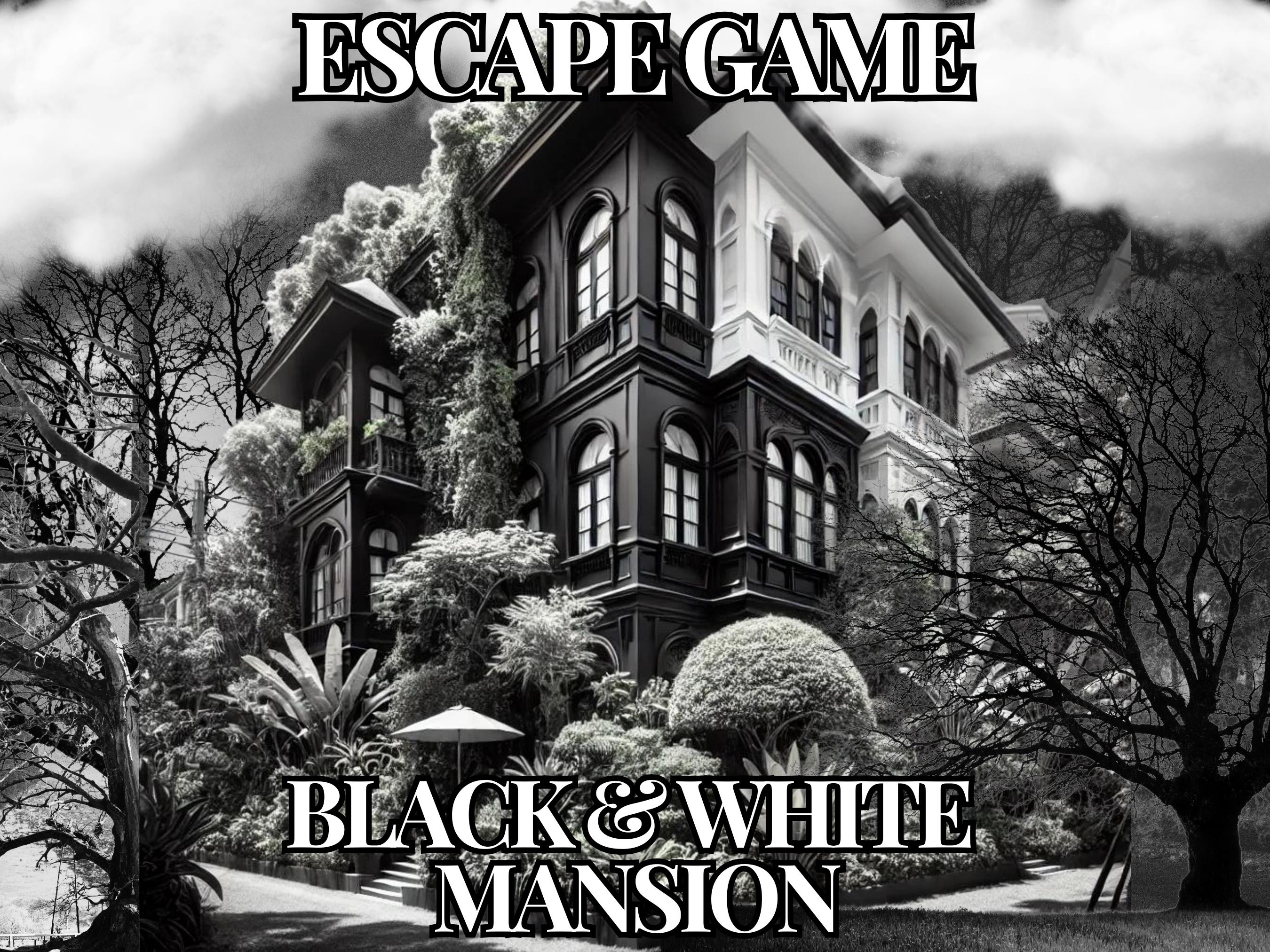 Black & White Mansion