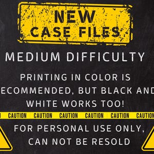 Cold Case Game, Detective Party, True Crime Game, Unsolved Cold Case Murder File, Murder Mystery Game, Printable Files, Digital Download image 6