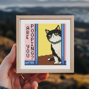 Puede incluir: Arte de punto de cruz enmarcado que muestra un gato blanco y negro con ojos verdes, mirando por una ventana. El texto "ARE YOU POOPING?" se muestra verticalmente. El fondo es amarillo, rosa y azul. El marco es de madera.