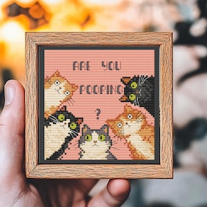 May include: A framed cross-stitch featuring four cartoon cats with various fur patterns. The text "ARE YOU POOPING?" is stitched above the cats, with a question mark below. The frame is made of wood.