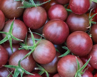 May include: A collection of fresh, round cherry tomatoes with a deep purple and reddish-brown skin. Each tomato features a small, vibrant green stem attached to the top, creating a dense cluster of small, spherical produce with smooth surfaces.
