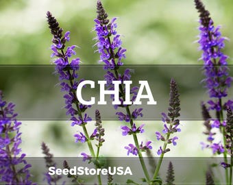 Chia Seeds | Heirloom - Non-GMO | Salvia Hispanica | Seed Store | Herb Seeds | 1291